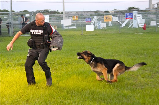 Deputy with K9